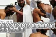 TATACARA MEMOTONG RAMBUT UNTUK TAHALLUL