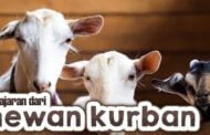 PELAJARAN DARI HEWAN KURBAN