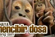 BAHAYA MENCIBIR DOSA ORANG LAIN