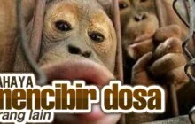 BAHAYA MENCIBIR DOSA ORANG LAIN