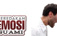 TEKNIK MEREDAKAN EMOSI SUAMI