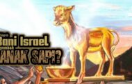 MENGAPA BANI ISRAEL MENYEMBAH ANAK SAPI?