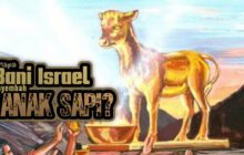 MENGAPA BANI ISRAEL MENYEMBAH ANAK SAPI?