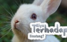 RIYA' TERHADAP HEWAN?
