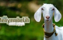 ADAB MENYEMBELIH UNTUK AKIKAH