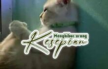 MENGHIBUR ORANG KESEPIAN