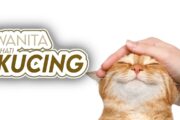WANITA BERHATI KUCING