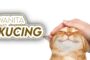 WANITA BERHATI KUCING